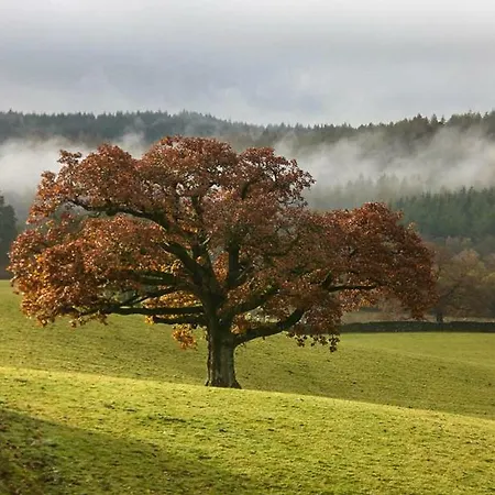 Little Esthwaite 앰블사이드